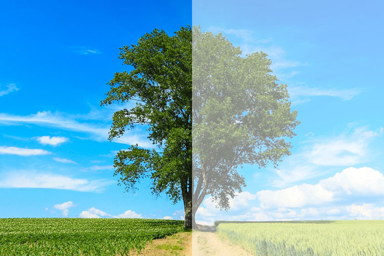 白内障のイメージ画像