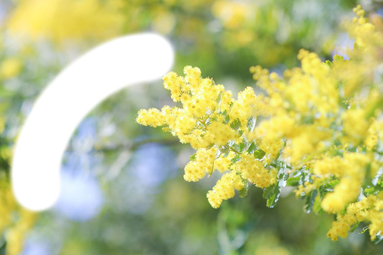 緑内障のイメージ画像