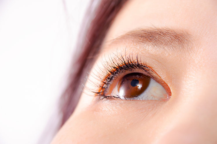 一般眼科のイメージ画像